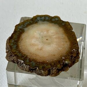 Stalactite Amethyst Crystal Slice Polished Both Sides Cave Mineral Uruguay 1.5"